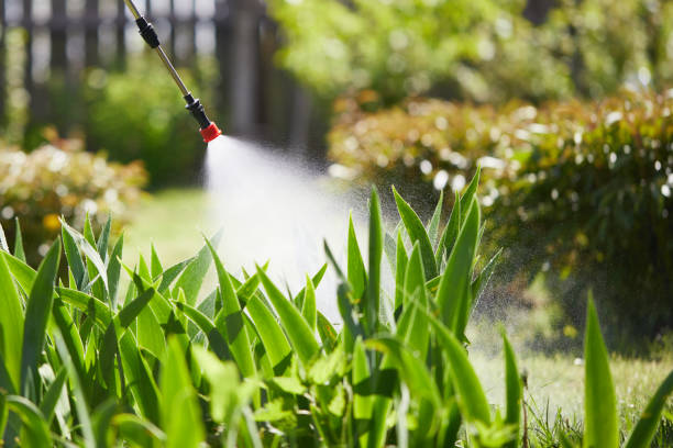 24/7 Emergency Wasp Removal experts in Harrogate, TN