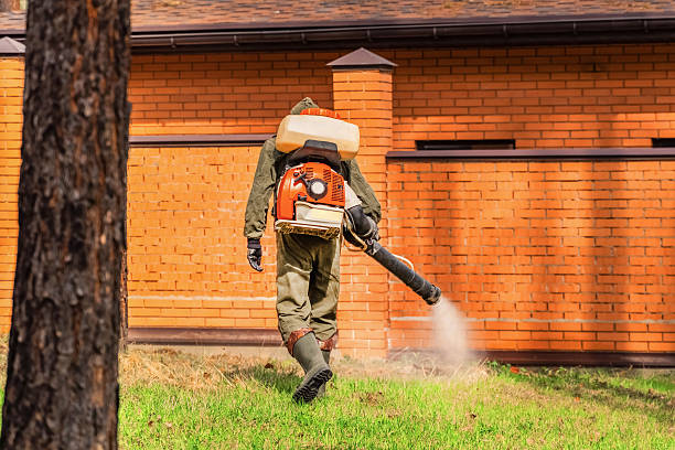Top rated local Wasp Removal specialists in Harrogate, TN